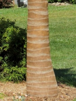 Detail Realistic Coconut Palm Tree Artificial Palm Outdoor